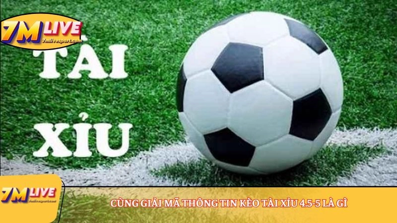 Kèo Tài Xỉu 4.5-5 là gì? Khám phá 3 thông tin cần biết về kèo 7 Cùng giải mã thông tin Kèo Tài Xỉu 4.5-5 là gì